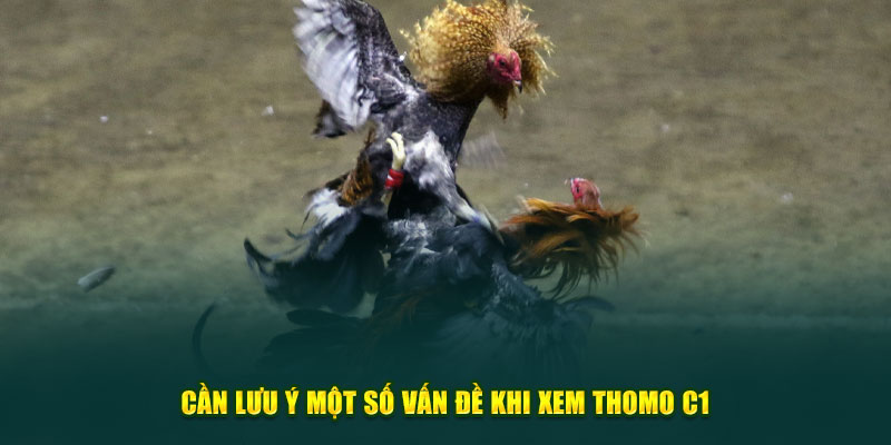 Cần lưu ý một số vấn đề khi xem giải kê chiến