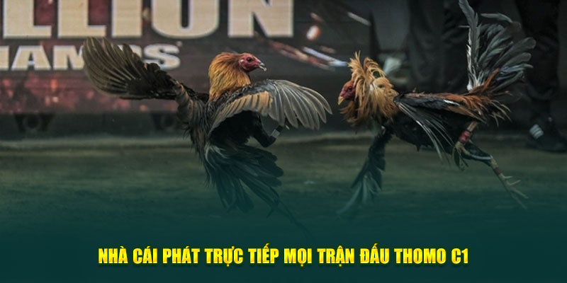 Nhà cái phát trực tiếp mọi trận đấu trong thomo C1