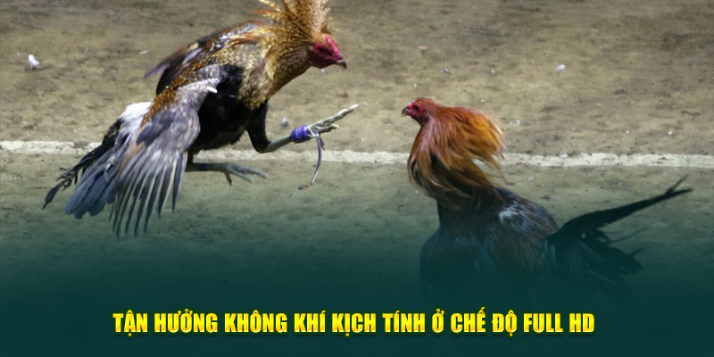 Tận hưởng không khí kịch tính ở chế độ Full HD