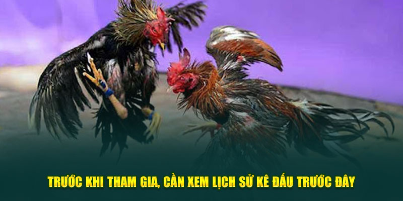 Trước khi tham gia, cần xem lịch sử kê đấu trước đây