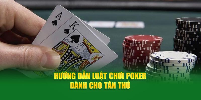 Hướng dẫn luật chơi poker dành cho tân thủ 